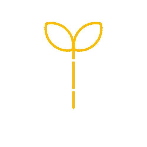 שתיל במבחנה